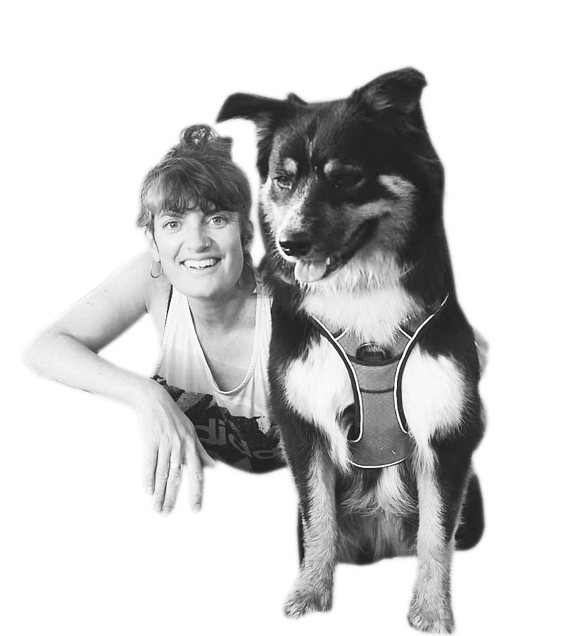 Logo mo chien 1