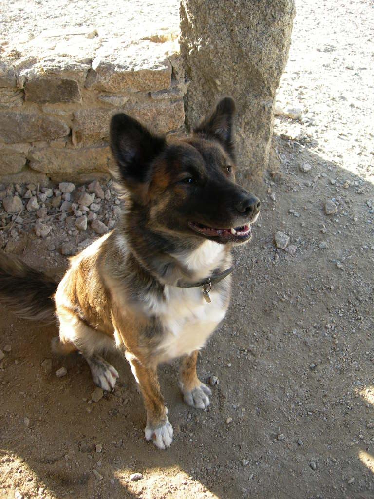 Photo 011